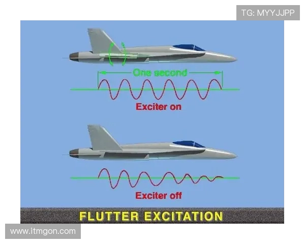 飞机机翼结构对颤振现象的阻尼设计